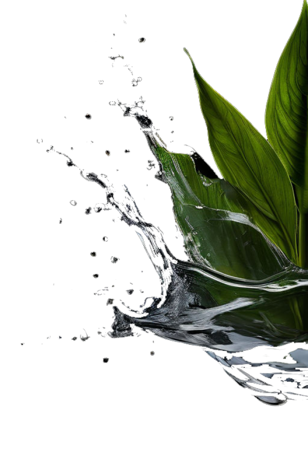 aaaa